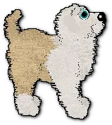 Adriella - dane show pose