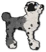 Dimples - dane show pose