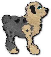 Pirerose - dane show pose